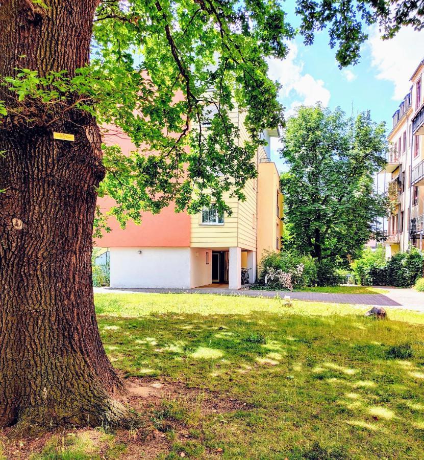 Gemuetliche Ferienwohnung In Ruhiger Lage Δρέσδη Εξωτερικό φωτογραφία